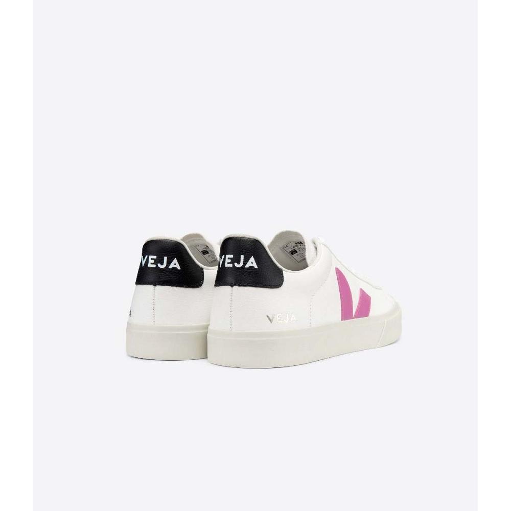 Low Tops Sneakers γυναικεια Veja CAMPO CHROMEFREE White/Purple | GR 597FDN